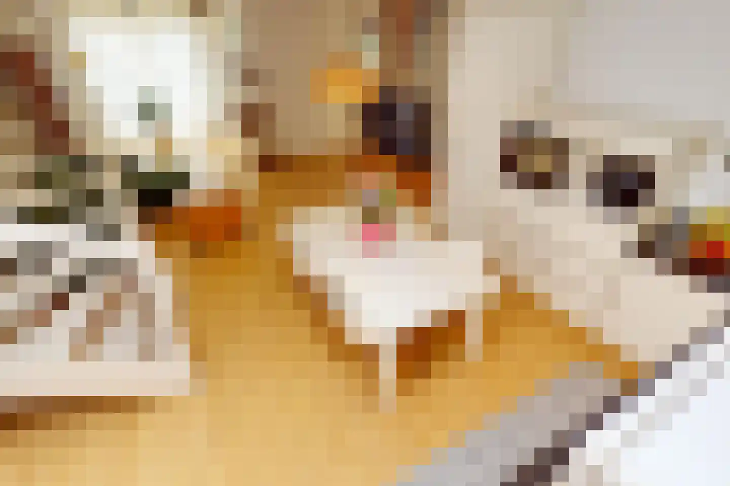 De Landbouw 22 Hoogkarspel thumbnail 27