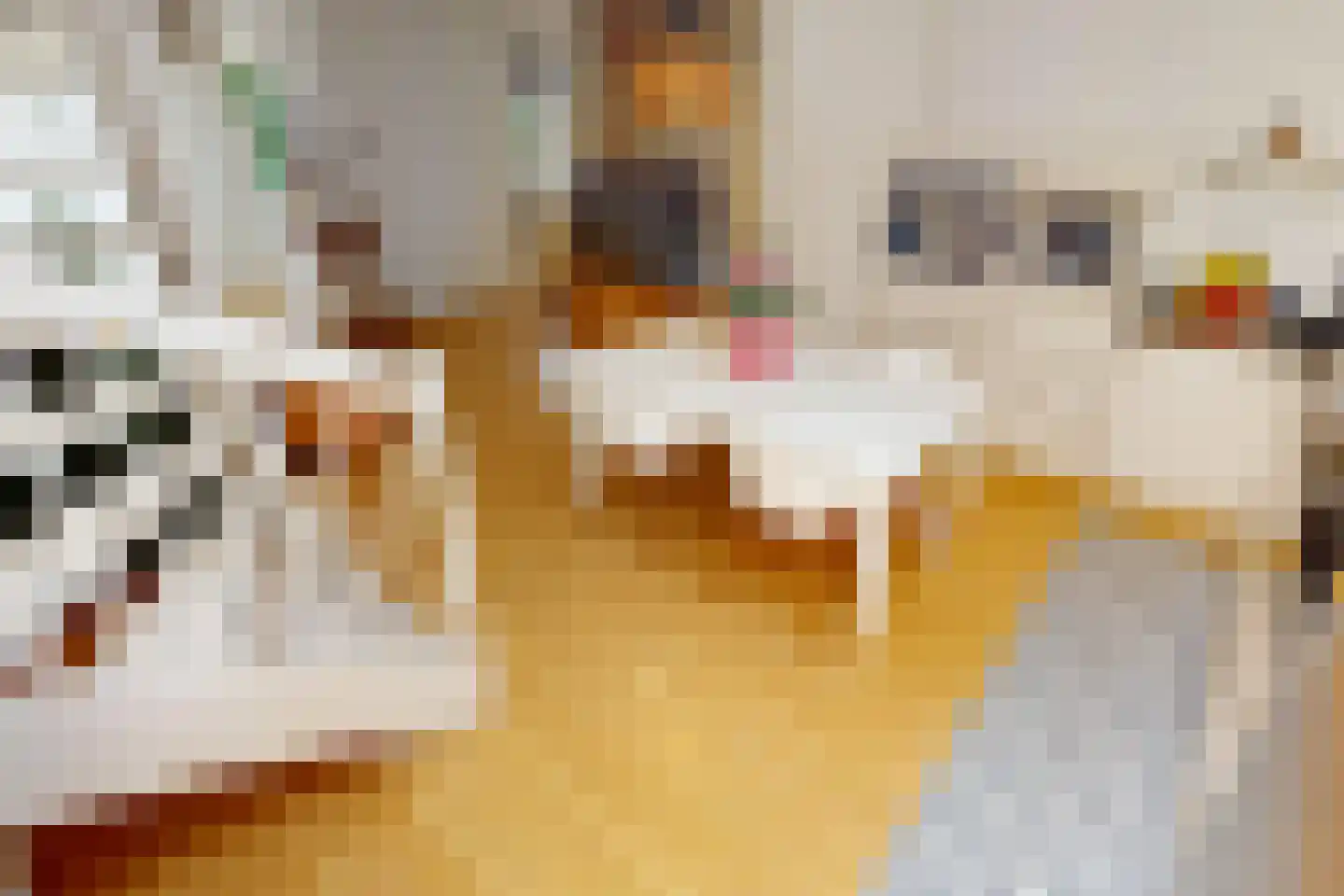 De Landbouw 22 Hoogkarspel thumbnail 28