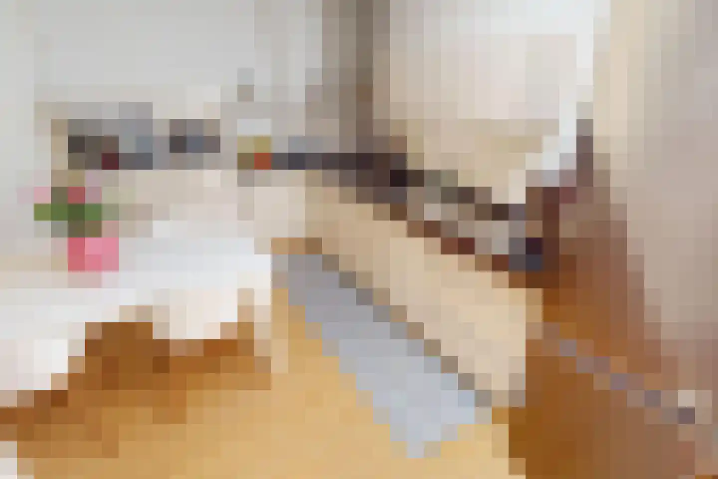 De Landbouw 22 Hoogkarspel thumbnail 29