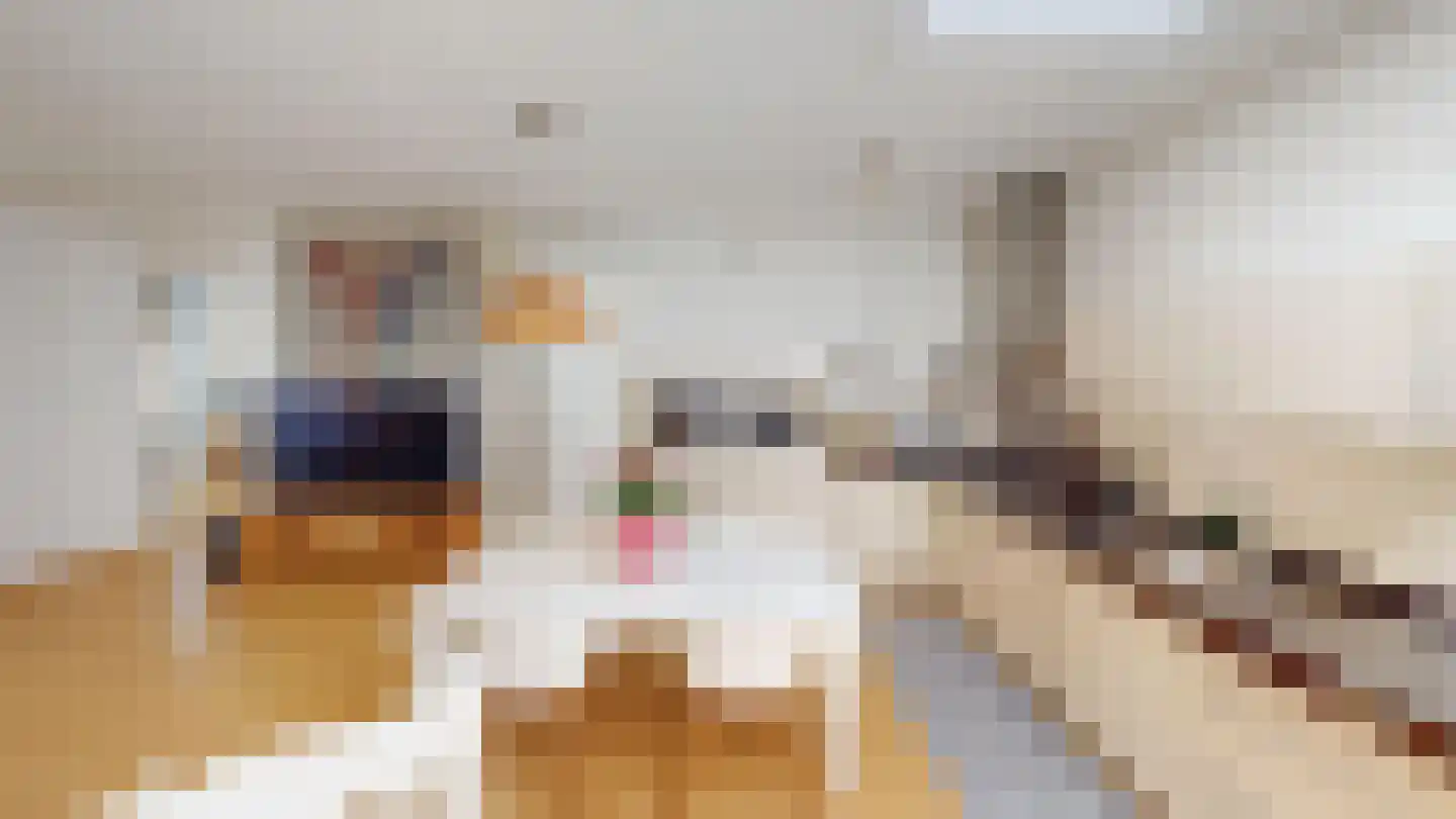 De Landbouw 22 Hoogkarspel thumbnail 30