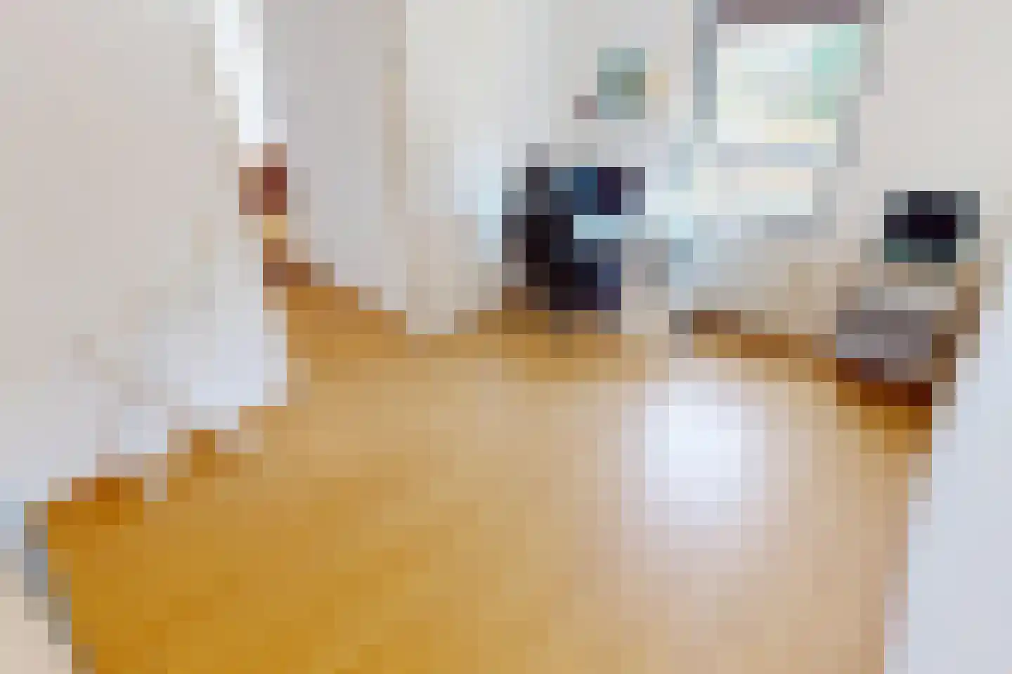 De Landbouw 22 Hoogkarspel thumbnail 37