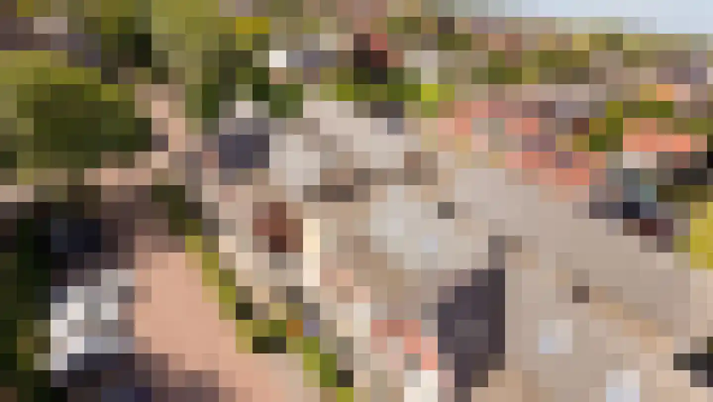 De Landbouw 22 Hoogkarspel thumbnail 4