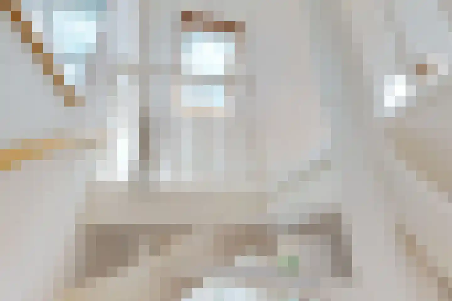 De Landbouw 22 Hoogkarspel thumbnail 45