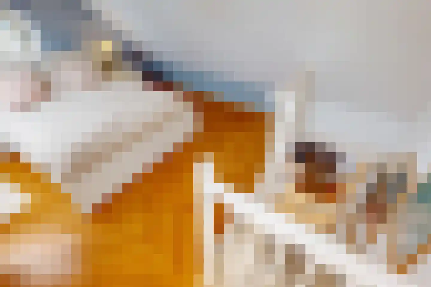 De Landbouw 22 Hoogkarspel thumbnail 46