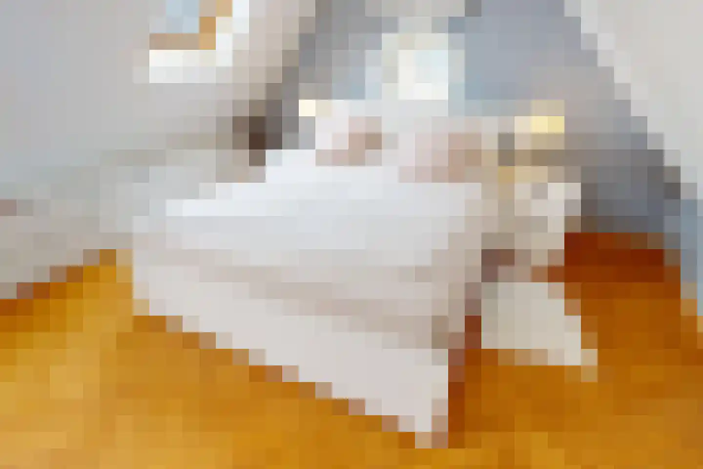 De Landbouw 22 Hoogkarspel thumbnail 48