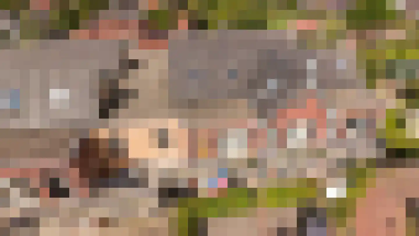 De Landbouw 22 Hoogkarspel thumbnail 5
