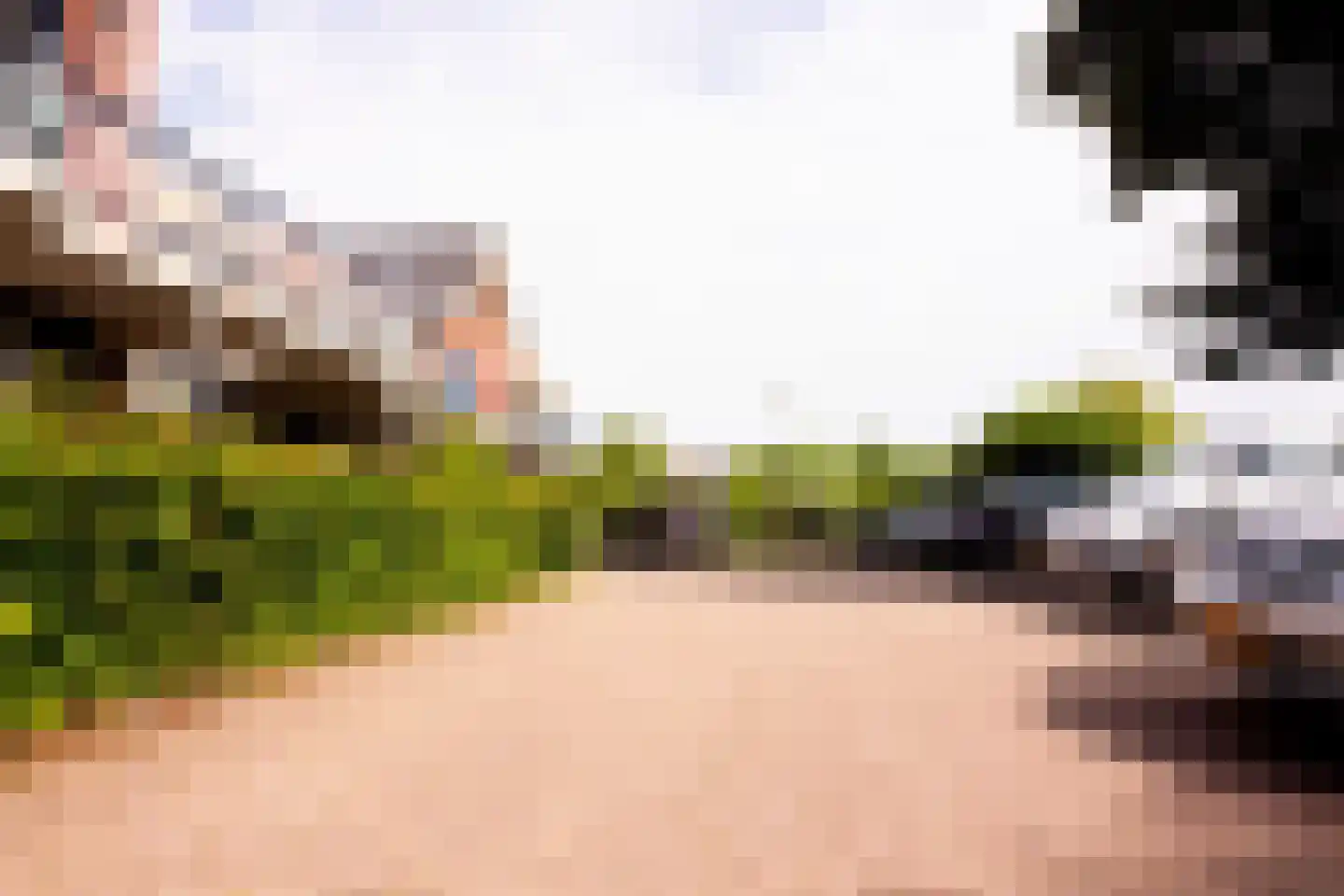De Landbouw 22 Hoogkarspel thumbnail 52