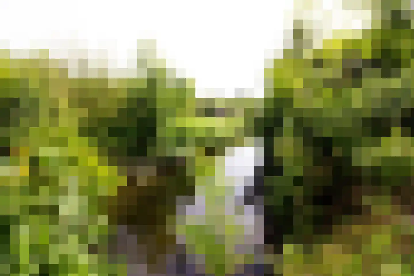 De Landbouw 22 Hoogkarspel thumbnail 58
