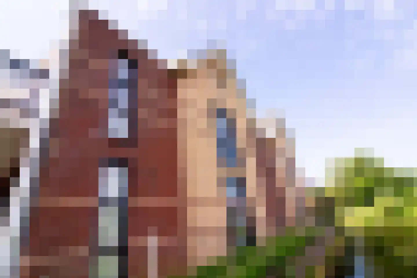 De Landbouw 22 Hoogkarspel thumbnail 8