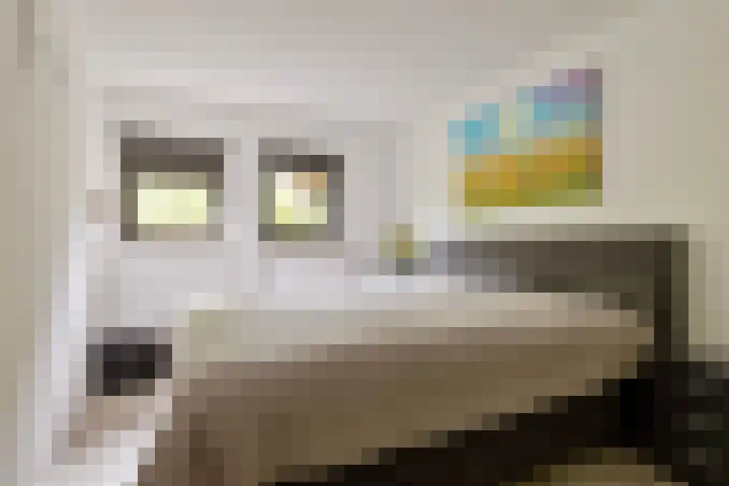 De Landbouw 6 Ursem thumbnail 11