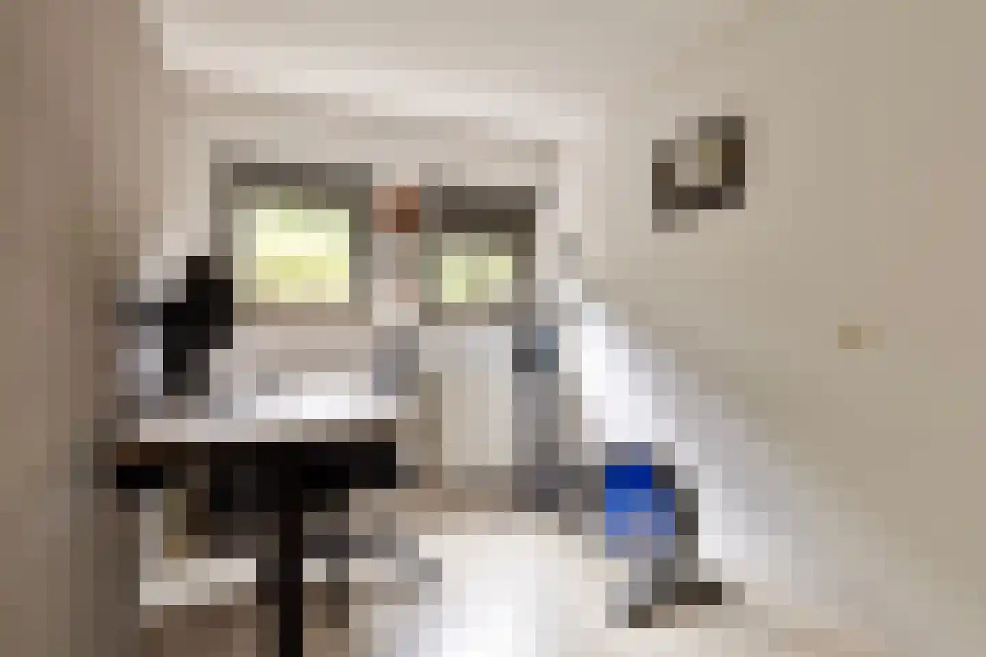 De Landbouw 6 Ursem thumbnail 13