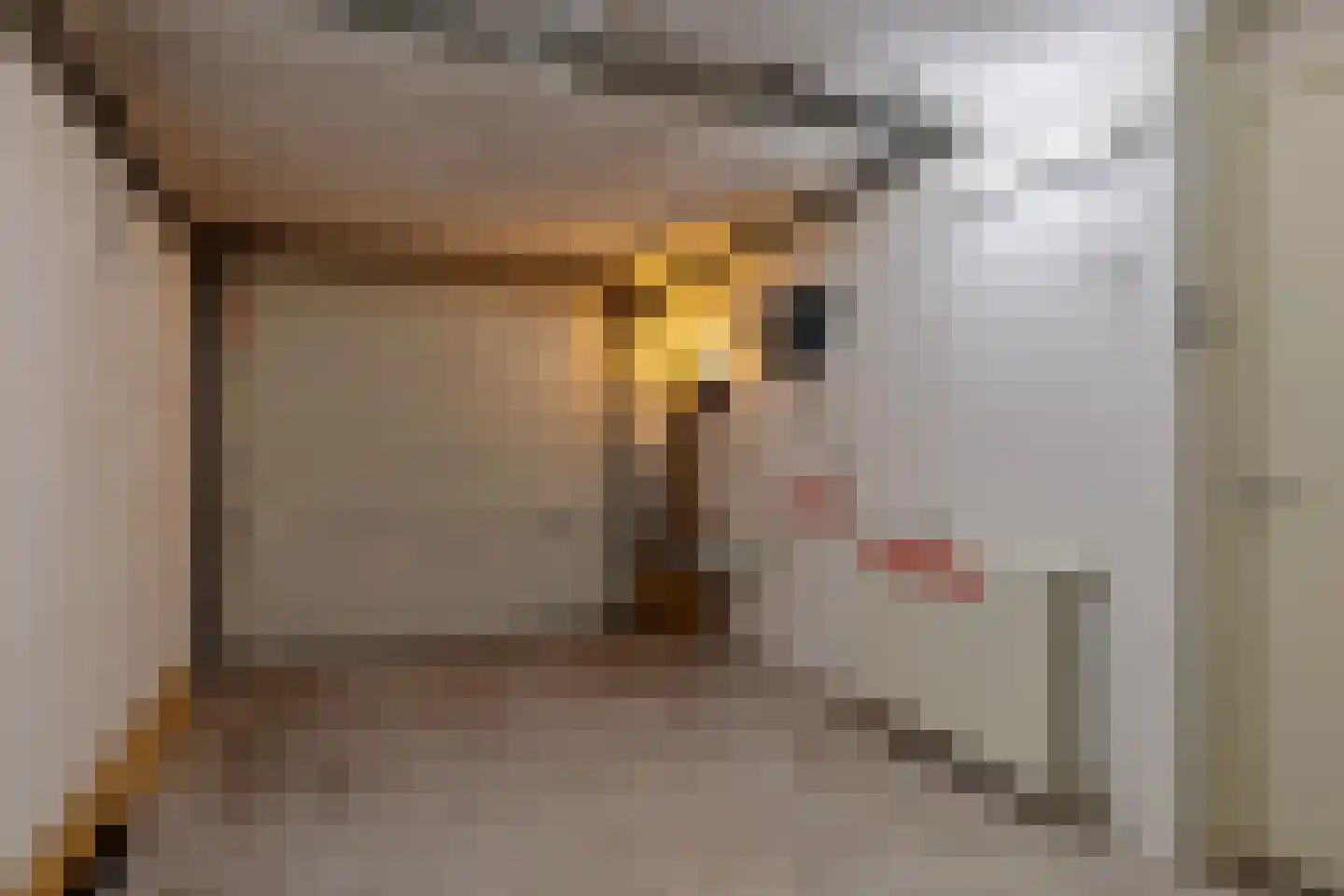 De Landbouw 6 Ursem thumbnail 17
