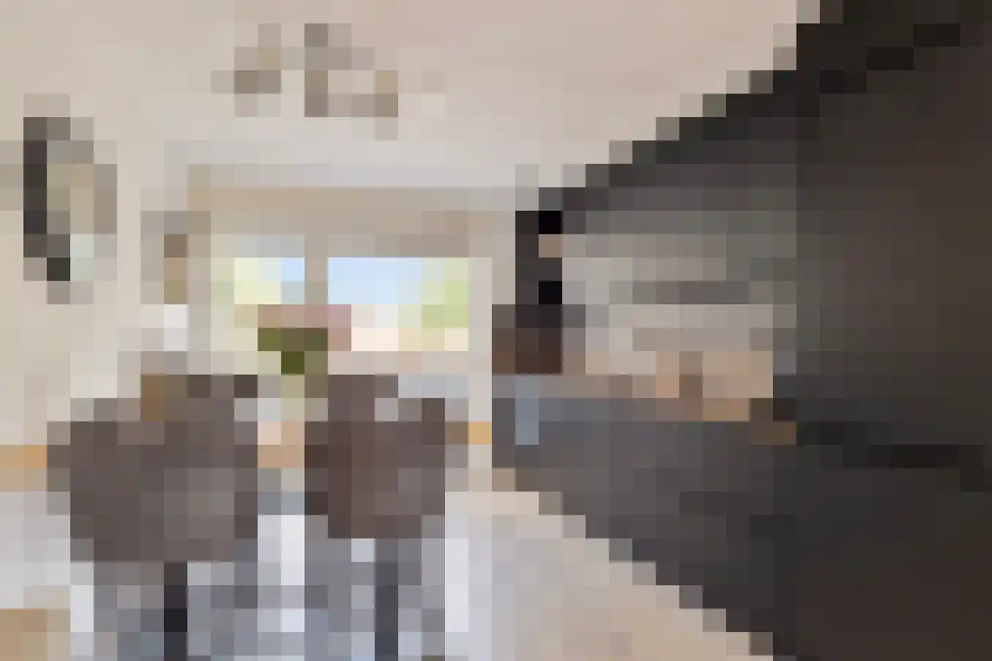 De Landbouw 6 Ursem thumbnail 26