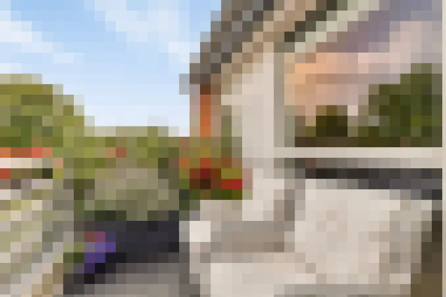 De Landbouw 6 Ursem thumbnail 32