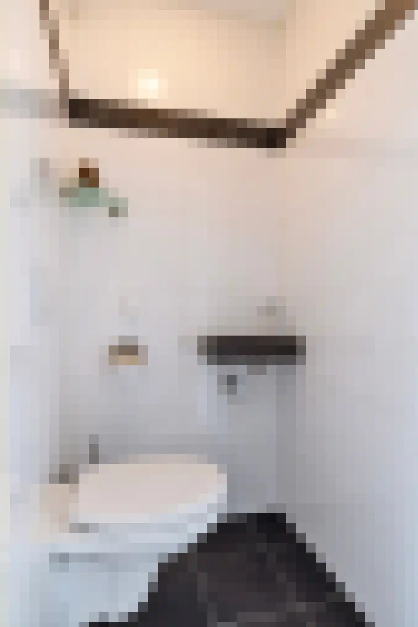 De Landbouw 6 Ursem thumbnail 34