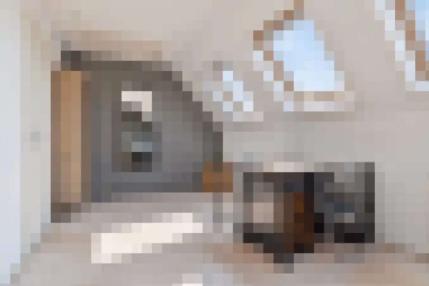 De Landbouw 6 Ursem thumbnail 36