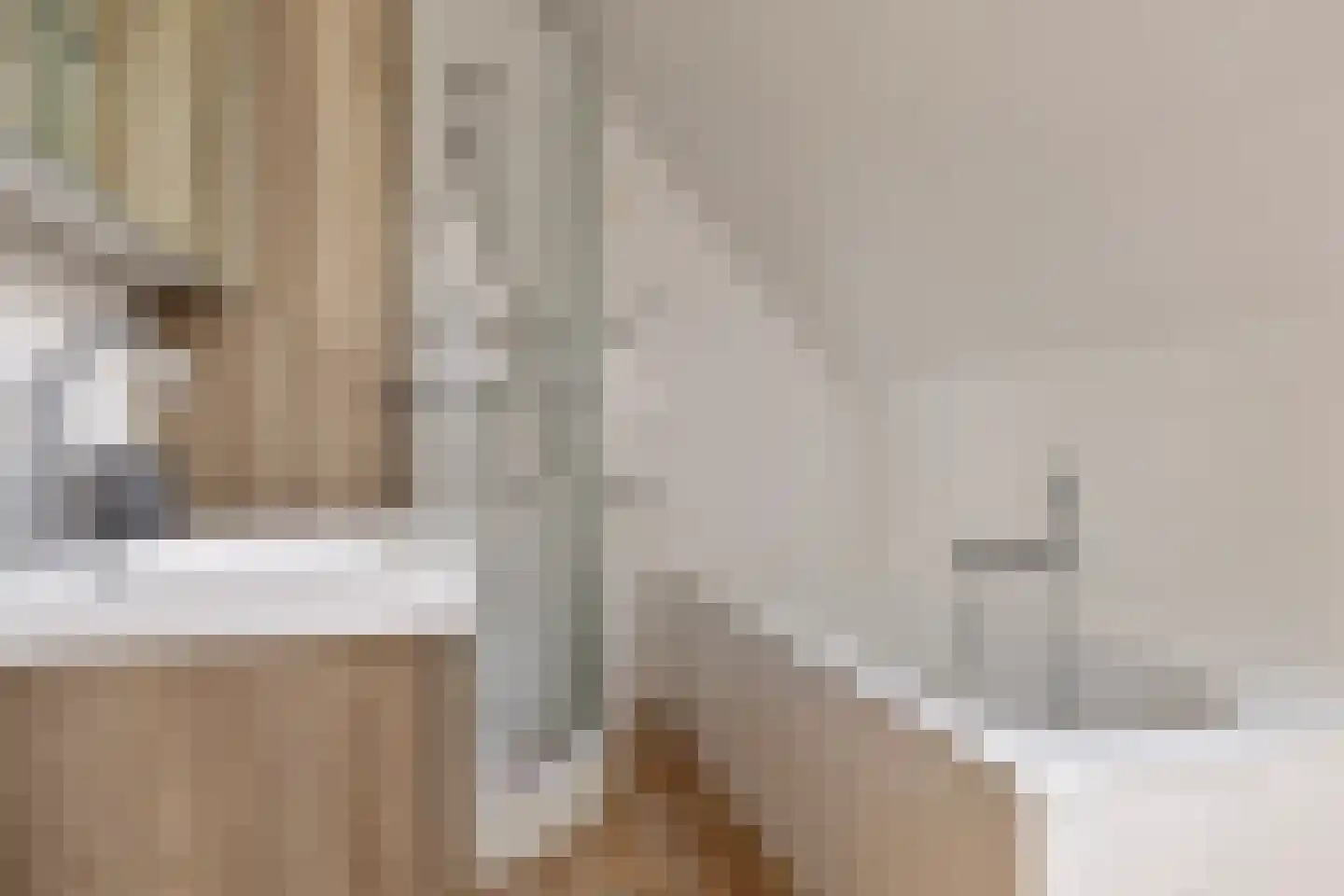 De Landbouw 6 Ursem thumbnail 37