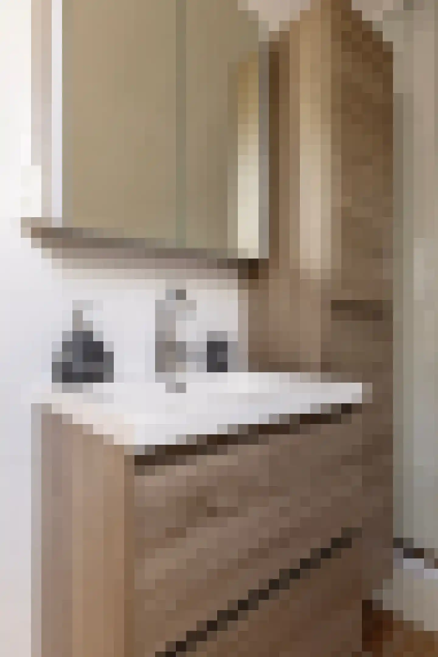De Landbouw 6 Ursem thumbnail 41