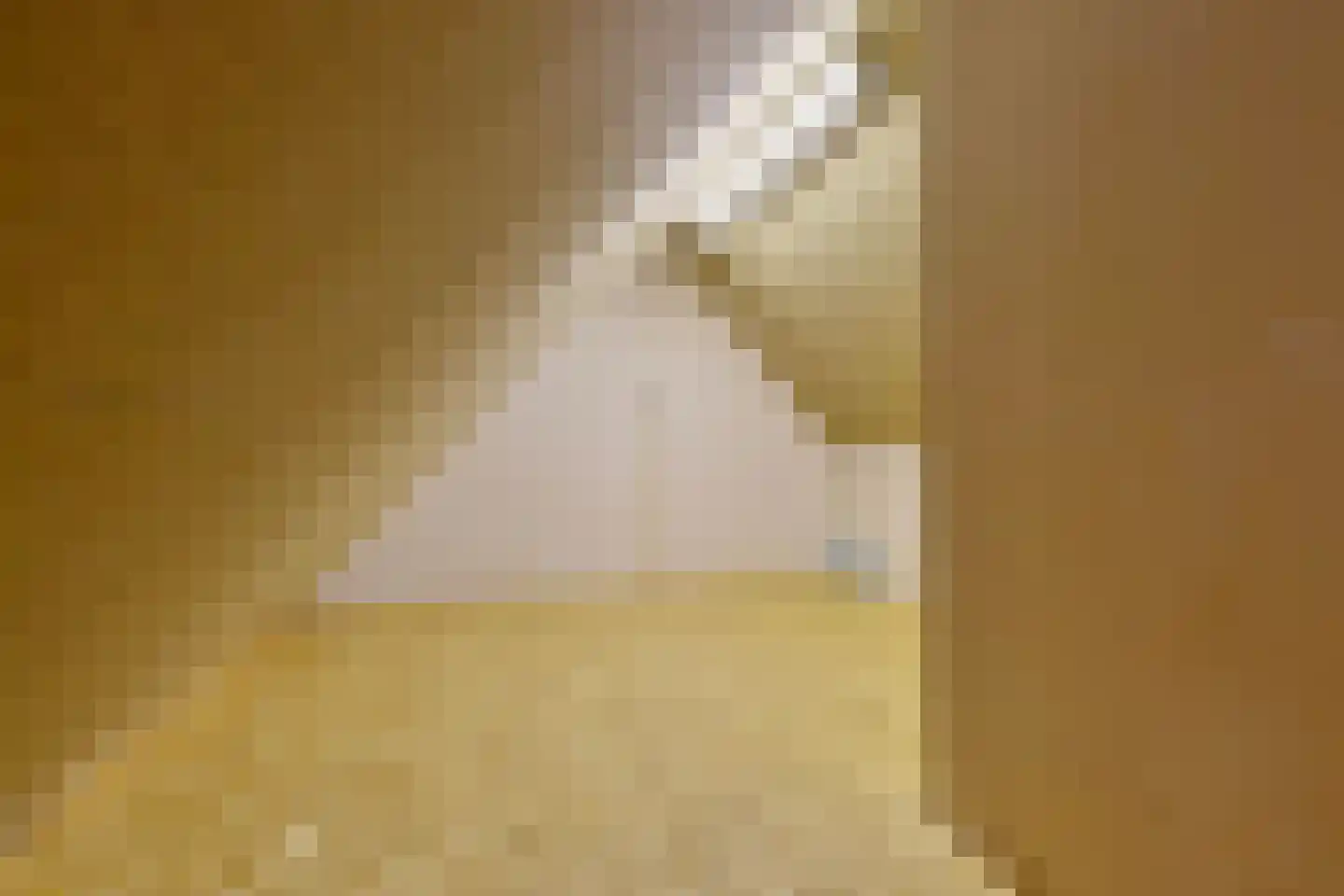 De Landbouw 6 Ursem thumbnail 42