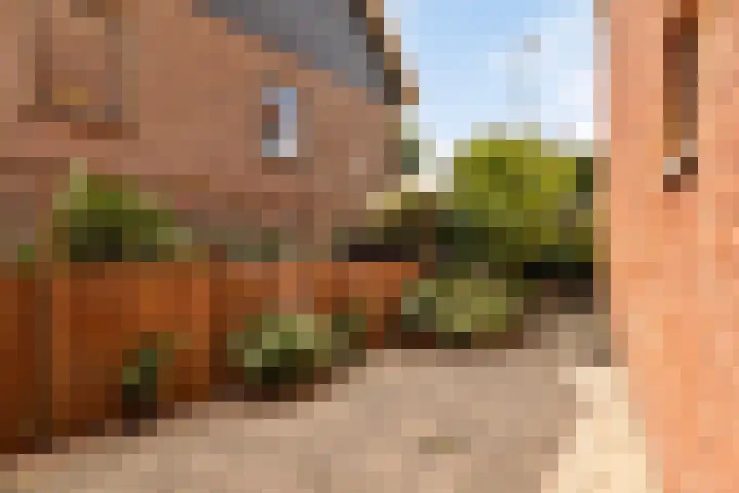 De Landbouw 6 Ursem thumbnail 43