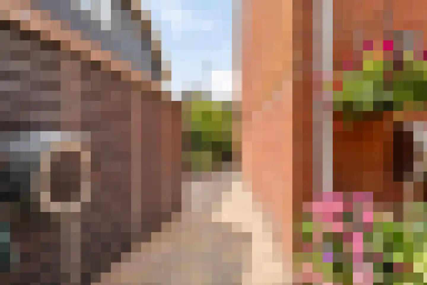 De Landbouw 6 Ursem thumbnail 44