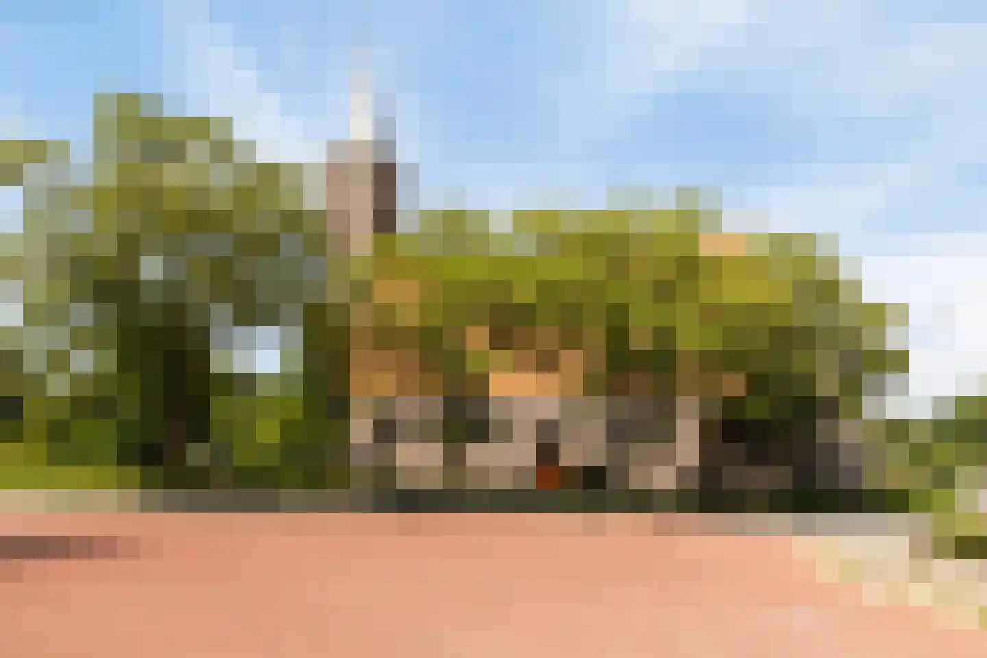De Landbouw 6 Ursem thumbnail 47
