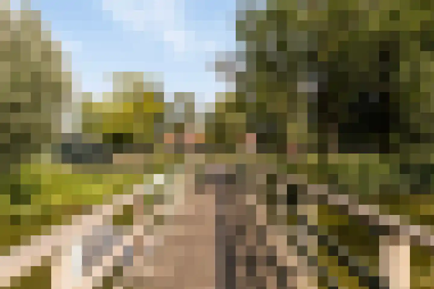 De Landbouw 6 Ursem thumbnail 49