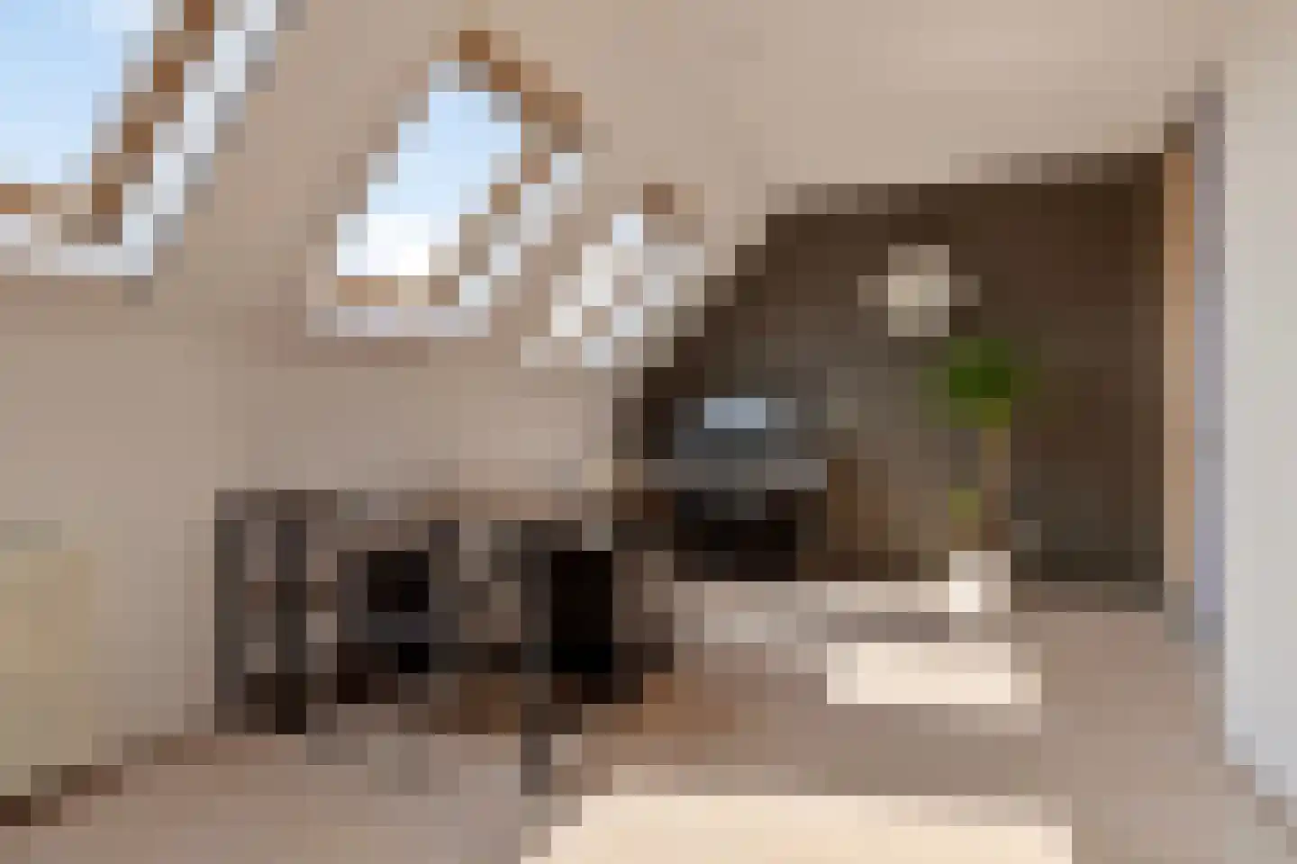 De Landbouw 6 Ursem thumbnail 5