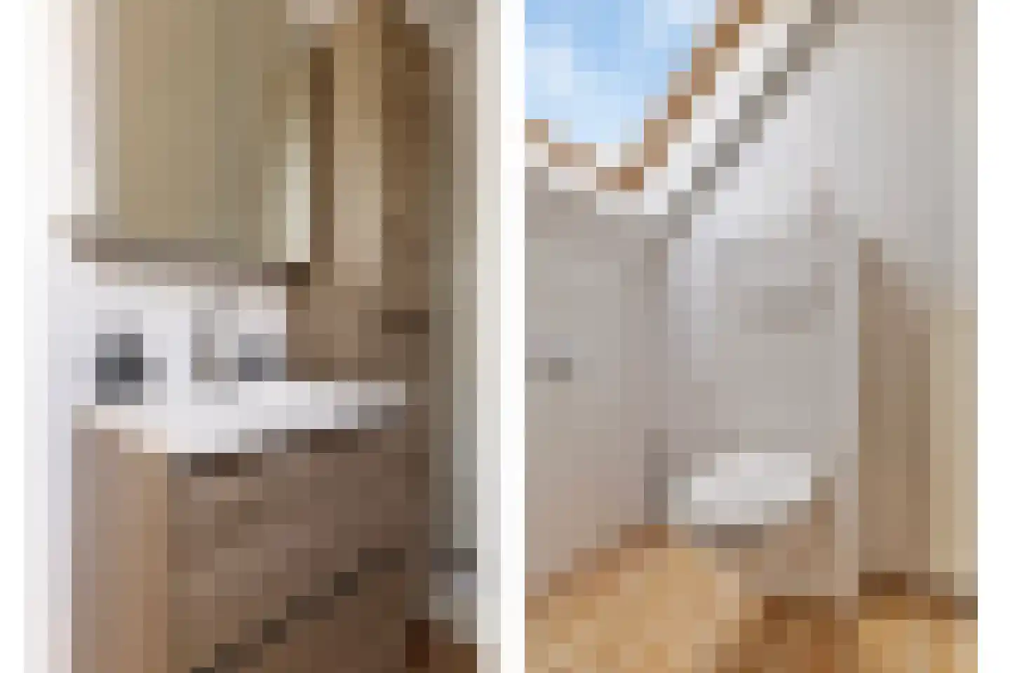De Landbouw 6 Ursem thumbnail 54