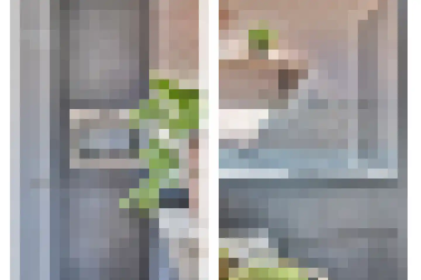 De Landbouw 9 Hoogkarspel thumbnail 18
