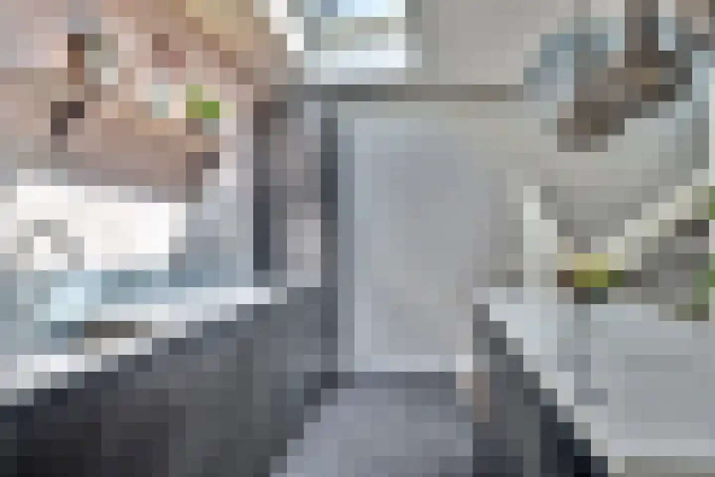 De Landbouw 9 Hoogkarspel thumbnail 19