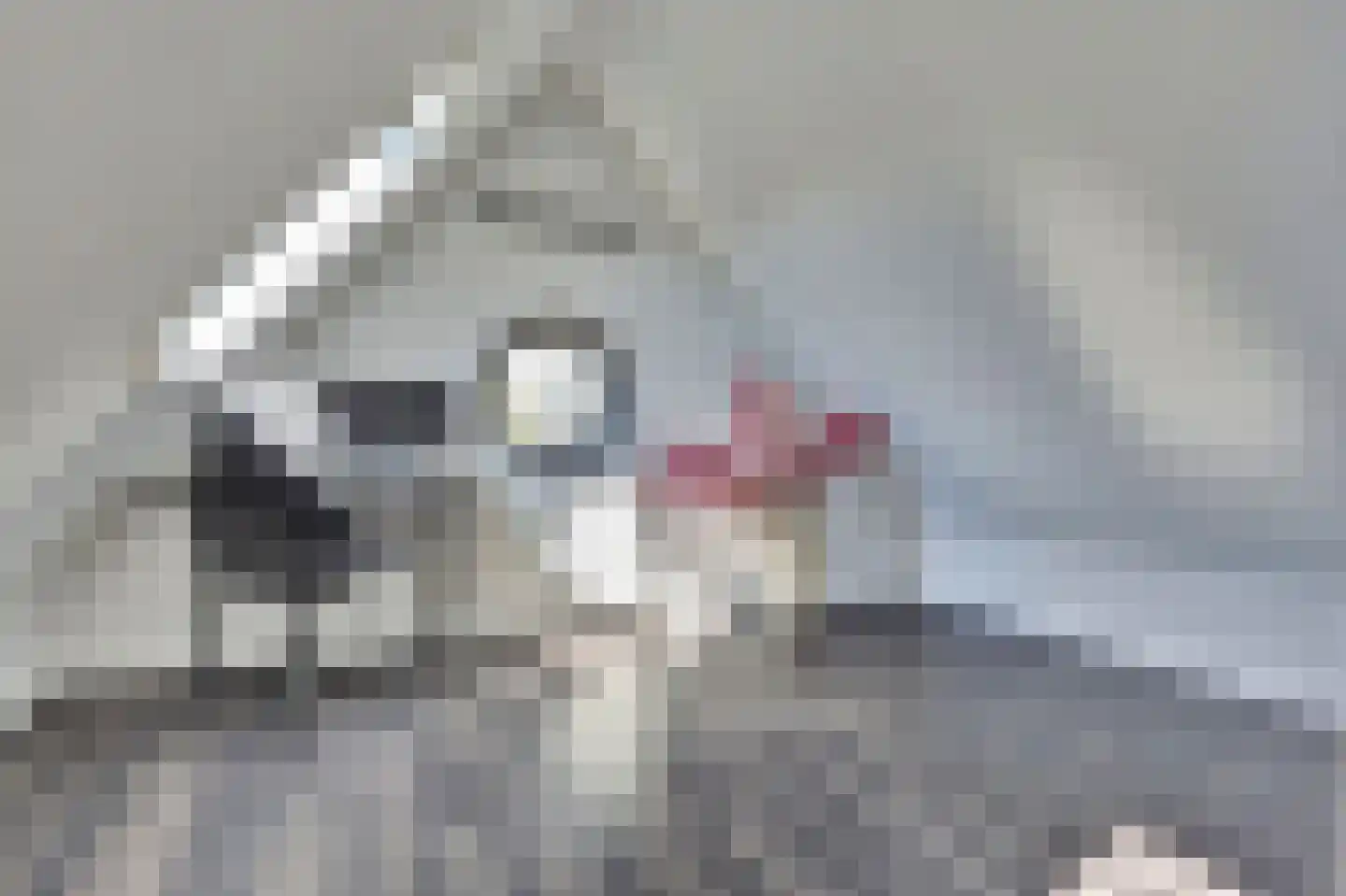 De Landbouw 9 Hoogkarspel thumbnail 25
