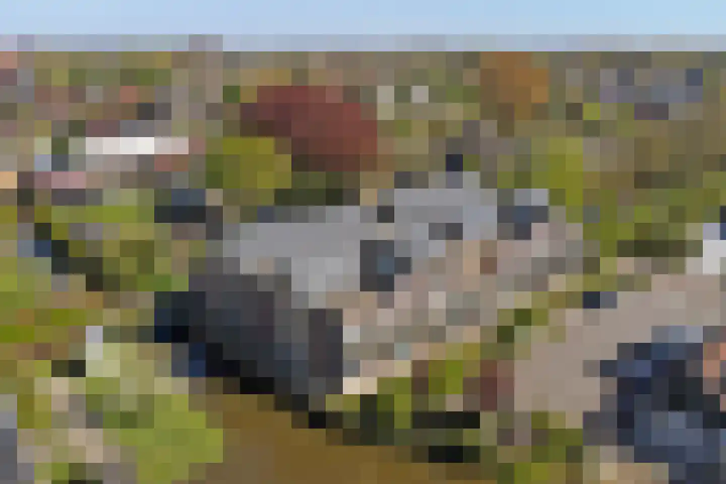 De Landbouw 9 Hoogkarspel thumbnail 35