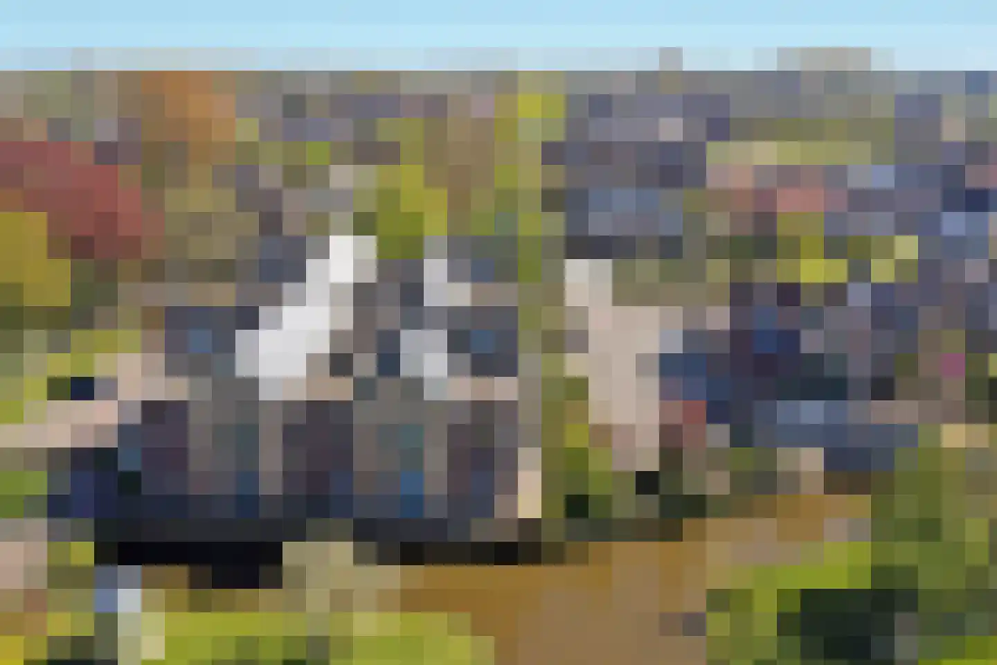 De Landbouw 9 Hoogkarspel thumbnail 36