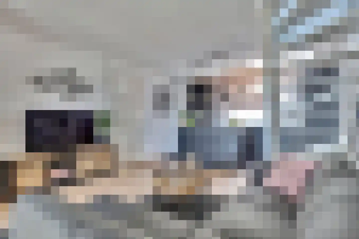 De Landbouw 9 Hoogkarspel thumbnail 8