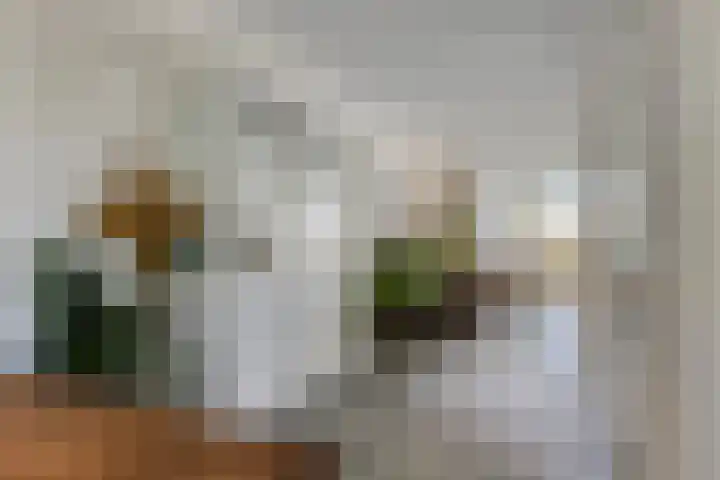 De Landerije 1 a Steenbergen thumbnail 11