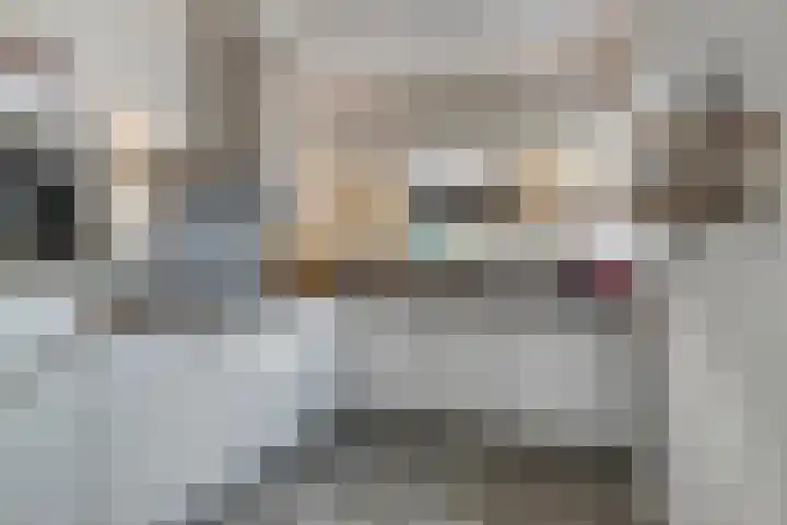 De Landerije 1 a Steenbergen thumbnail 13