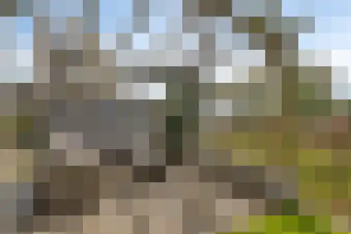 De Landerije 1 a Steenbergen thumbnail 28