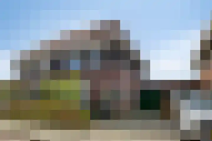 De Landerije 1 a Steenbergen thumbnail 38