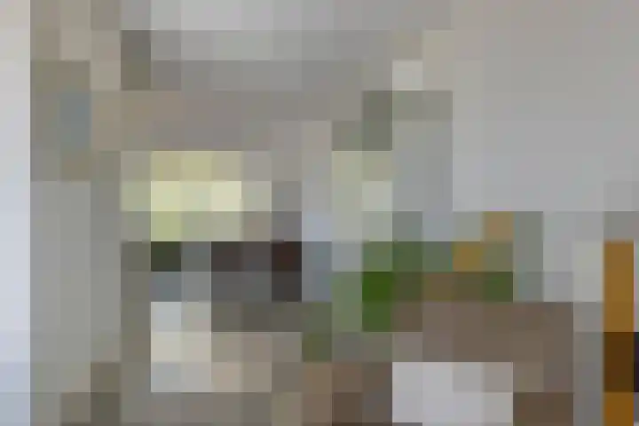 De Landerije 1 a Steenbergen thumbnail 5