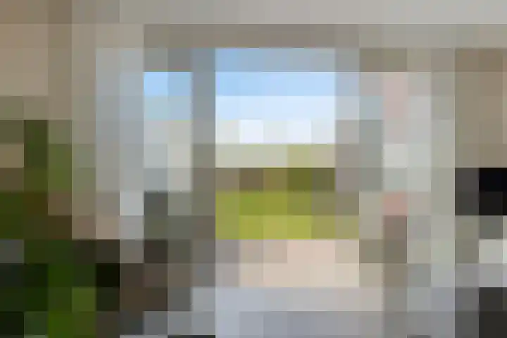 De Landerije 1 a Steenbergen thumbnail 9