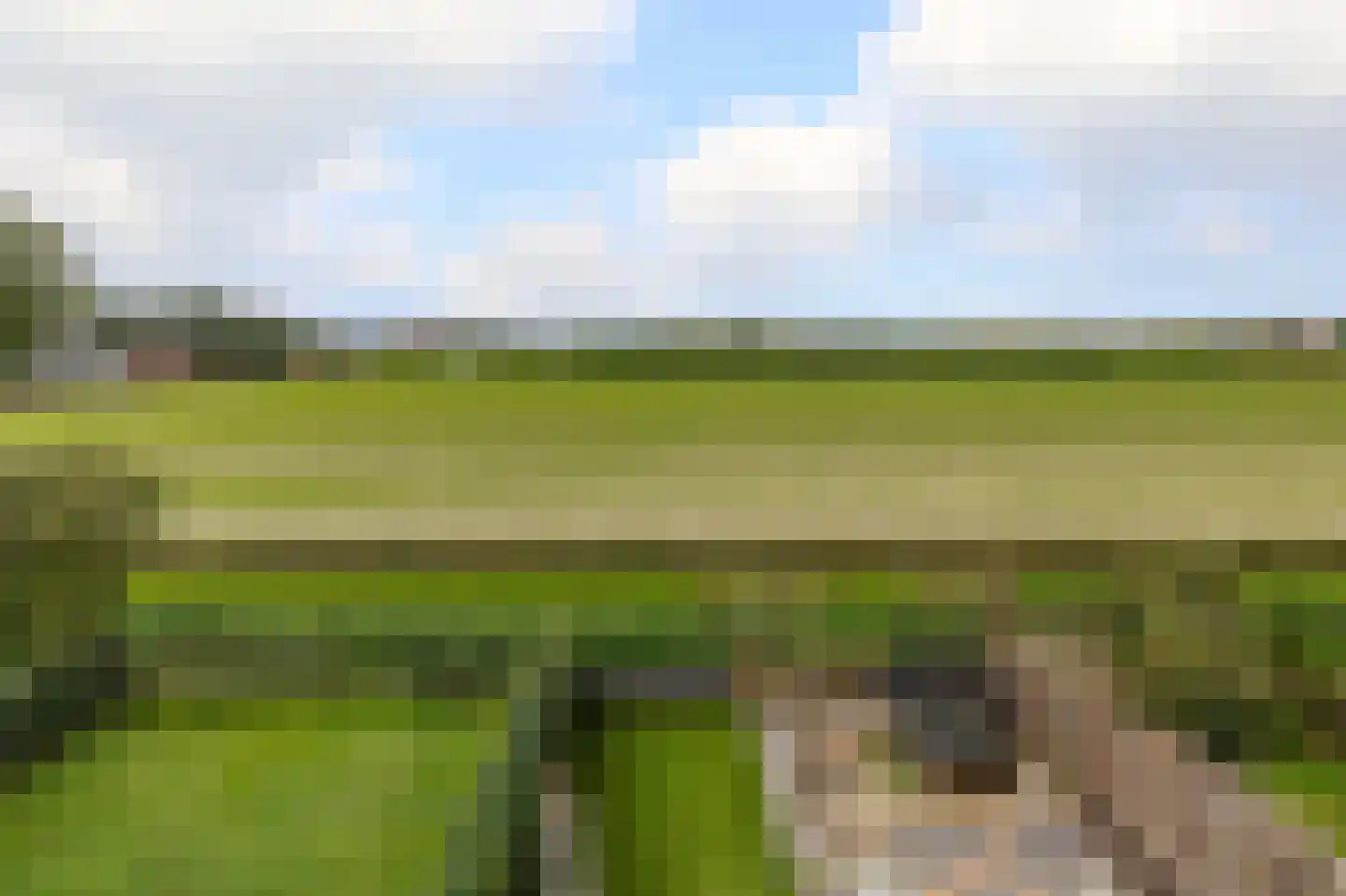 De Landerije 13 Steenbergen thumbnail 61