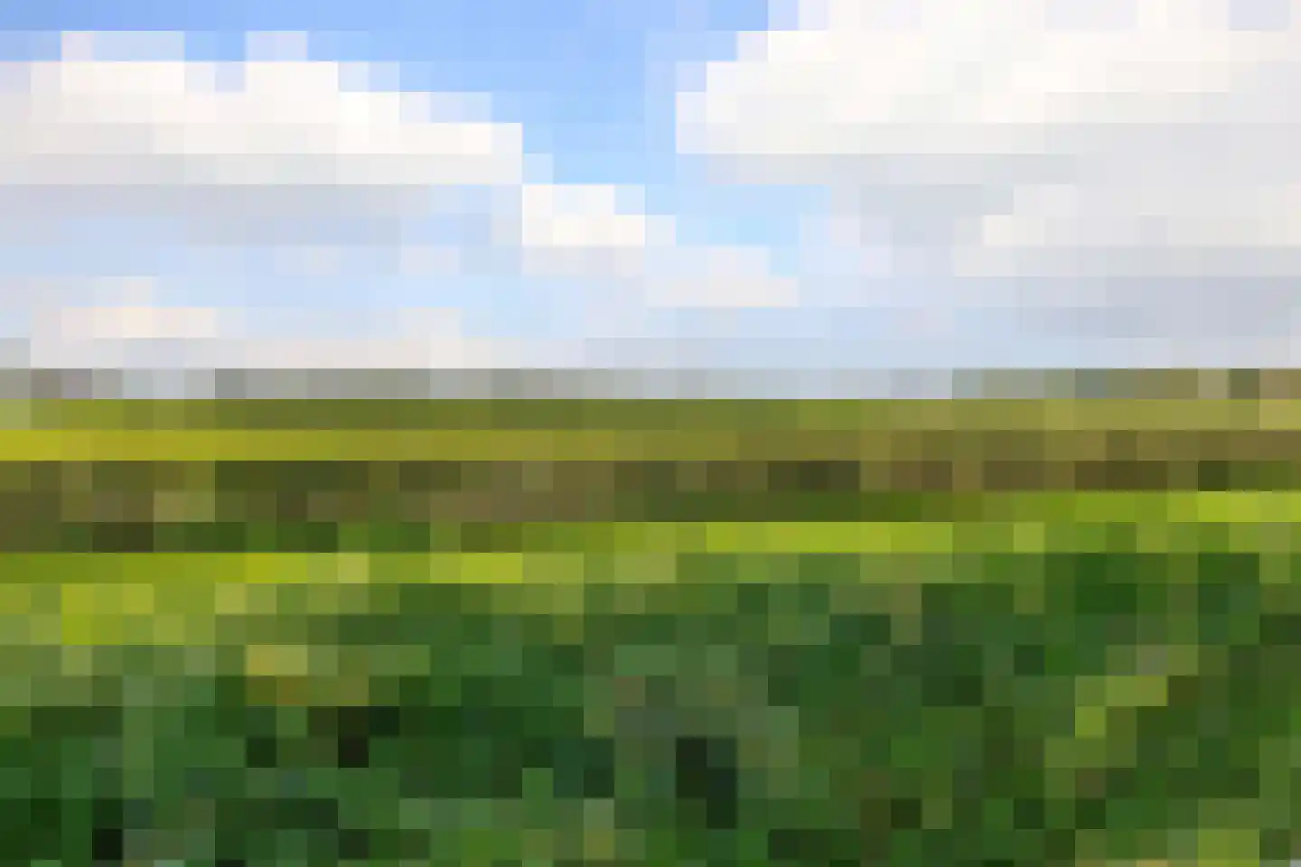 De Landerije 13 Steenbergen thumbnail 62