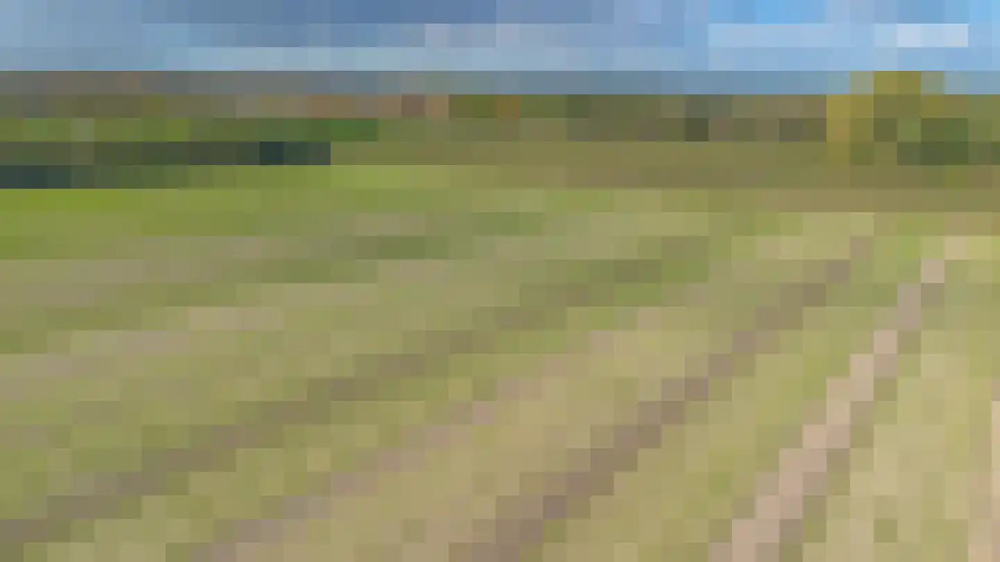 De Landerije 13 Steenbergen thumbnail 63
