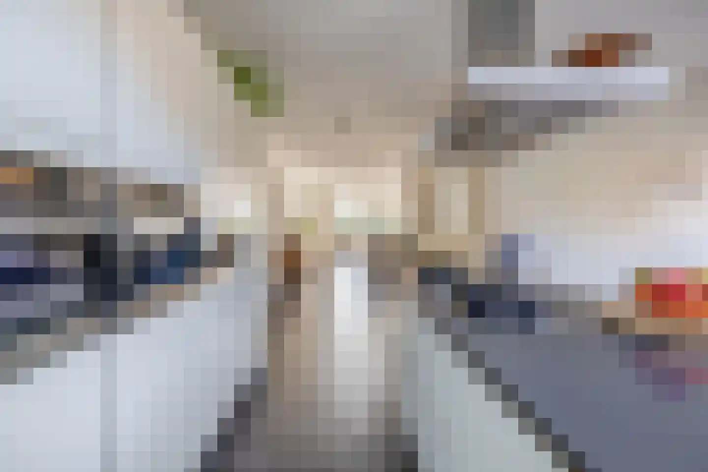 De Landerije 13 Steenbergen thumbnail 7