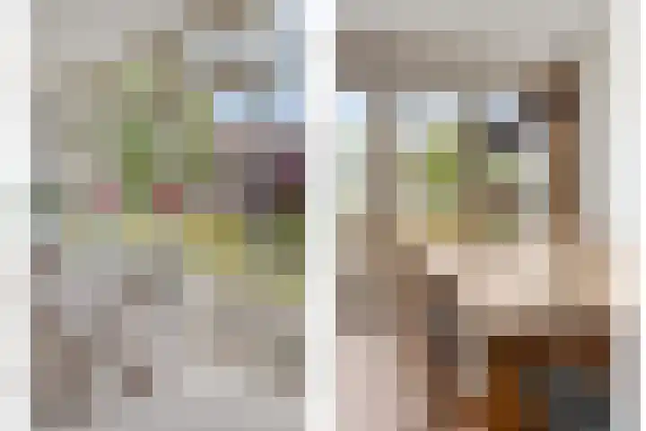 De Landerije 9 Steenbergen thumbnail 12