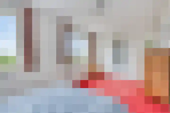 De Landerije 9 Steenbergen thumbnail 21
