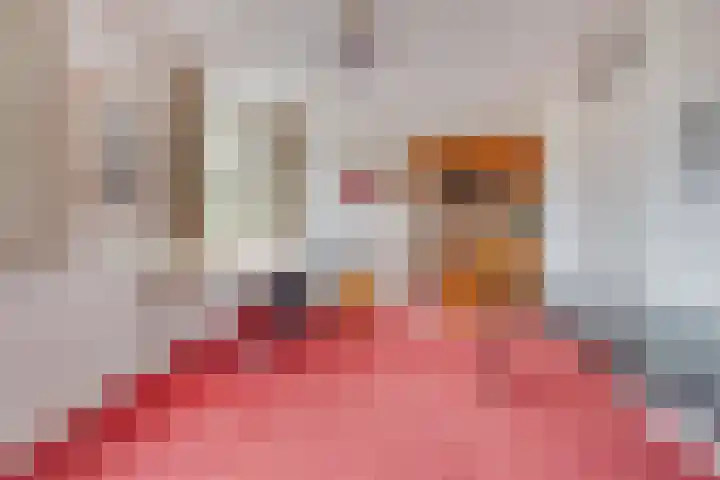 De Landerije 9 Steenbergen thumbnail 25