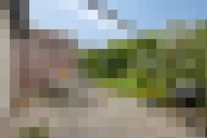 De Landerije 9 Steenbergen thumbnail 30