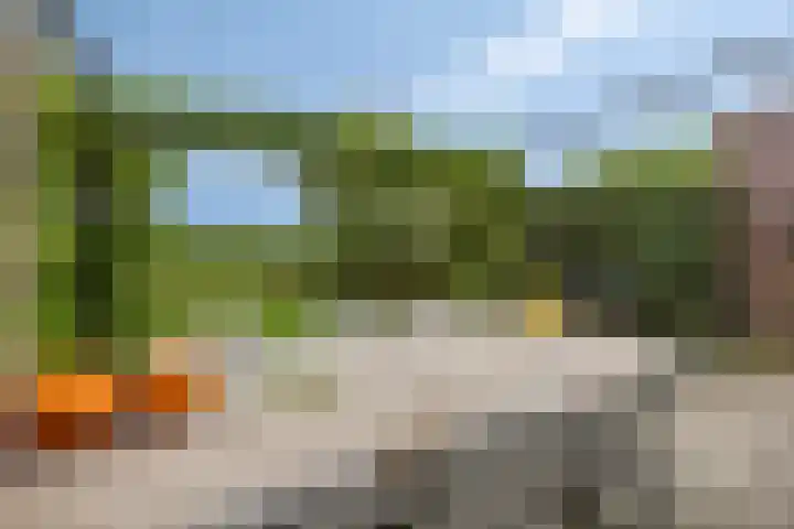 De Landerije 9 Steenbergen thumbnail 31